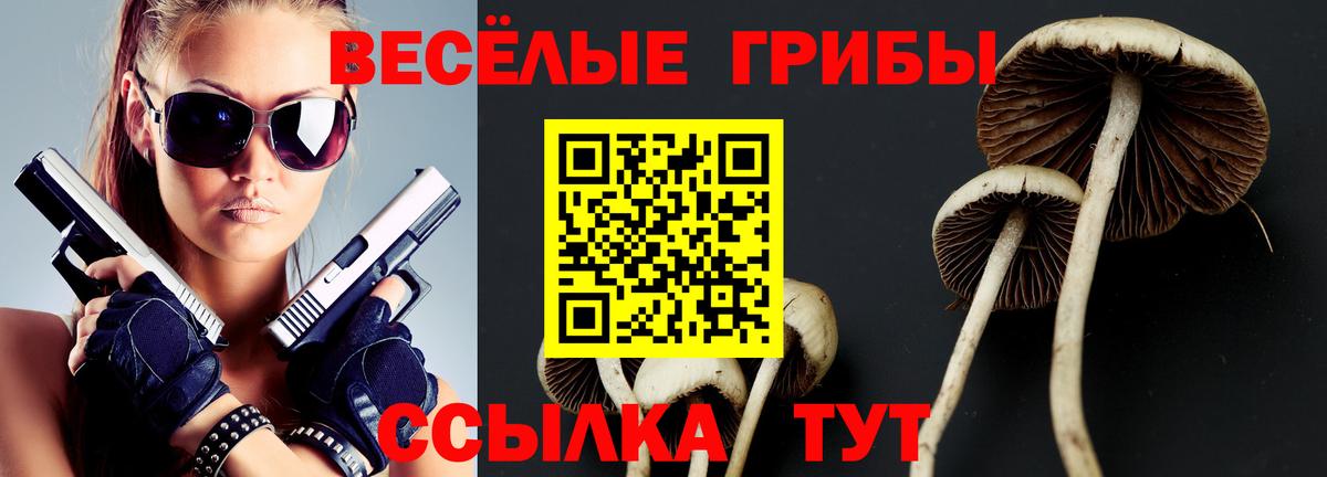 Псилоцибиновые грибы мицелий Усть-Лабинск